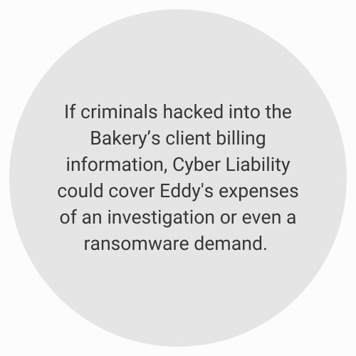 Cyber Liability Example