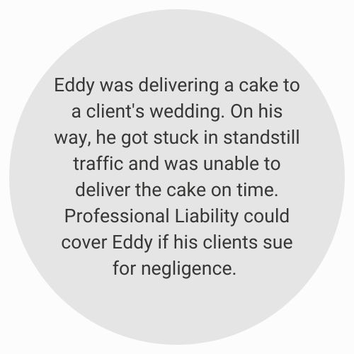 Professional Liability Example